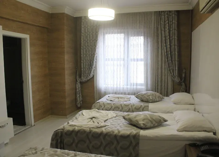 Hotel Grand Arslan 3*